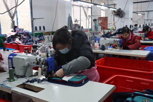 新邵乡村小工厂搭建就业大舞台——央广网邮都网络关注县域发展新图景